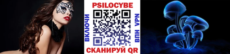 Галлюциногенные грибы Psilocybe  кракен как зайти  Новотитаровская 